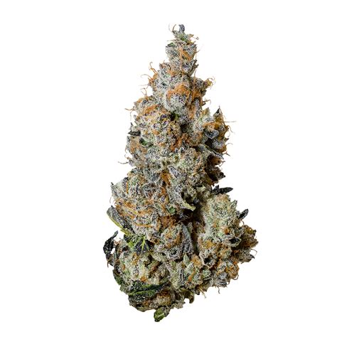 RS11, also known as “RS-11” or “Rainbow Sherbet #11,” is an indica dominant hybrid strain (70% indica/30% sativa) created through crossing the delicious Pink Guava X OZK strains. When it comes to the flavor and effects departments, this bud has it all. RS11 packs a super sweet and fruity cherry berry …